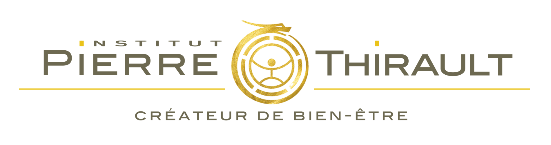 Logo Institut Pierre Thirault