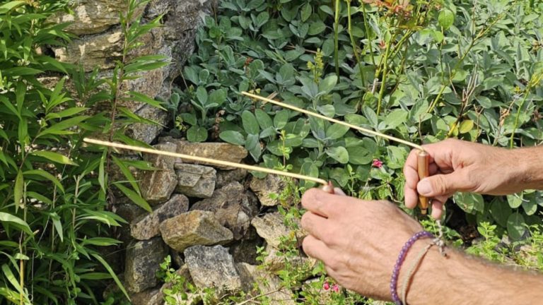 Deux mains tenant des baguettes de radiesthésie, également appelées radmasters, utilisées en géobiologie. Les baguettes sont orientées vers un jardin verdoyant, entouré de pierres et de plantes, dont une rose rose en arrière-plan. La scène illustre une pratique de détection énergétique dans un environnement naturel, associée aux principes de la géobiologie