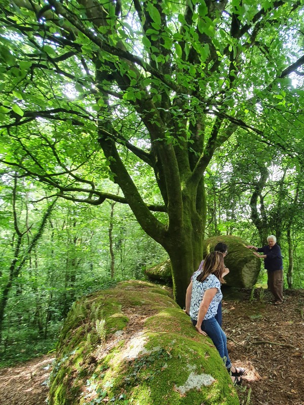 formation géobiologie avec Pierre Thirault en Bretagne