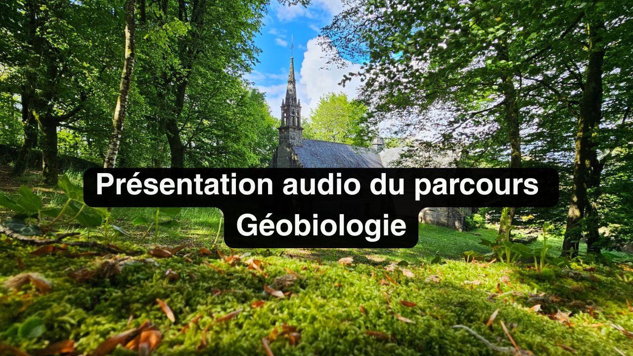 Formation en g&eacute;obiologie &agrave; l'Institut Pierre Thirault en Bretagne
