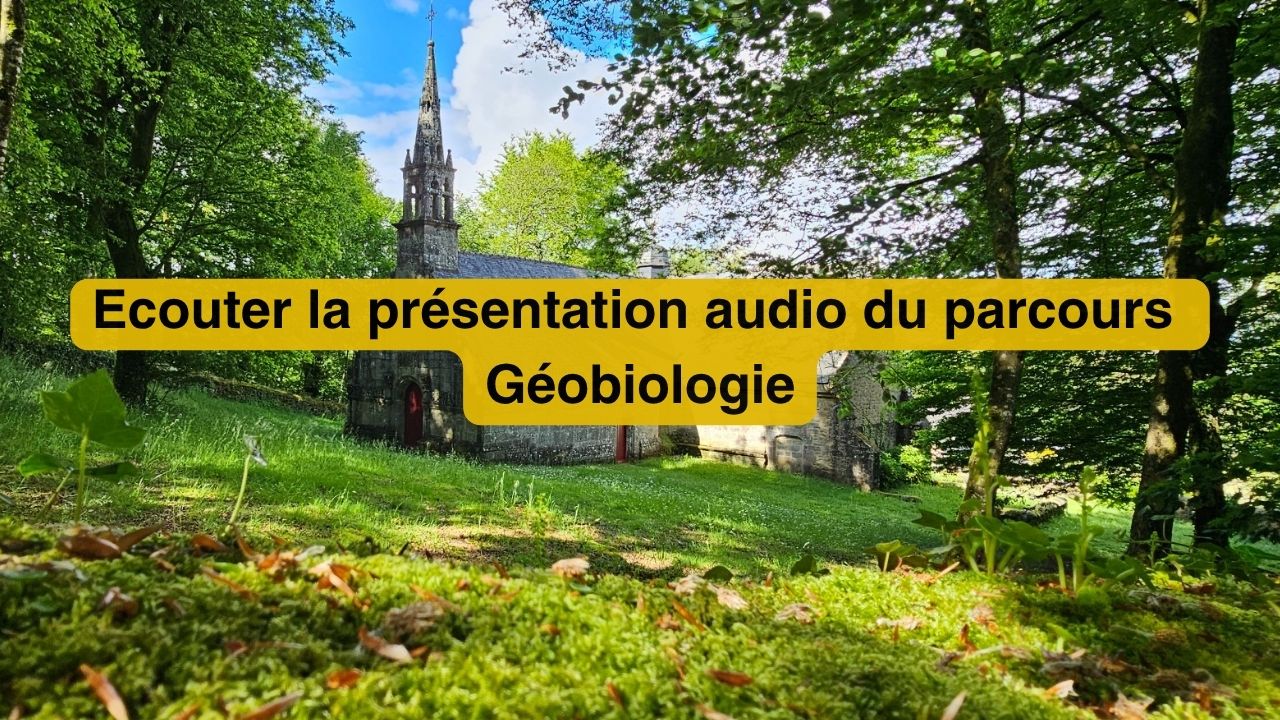 Formation en géobiologie à l'Institut Pierre Thirault en Bretagne