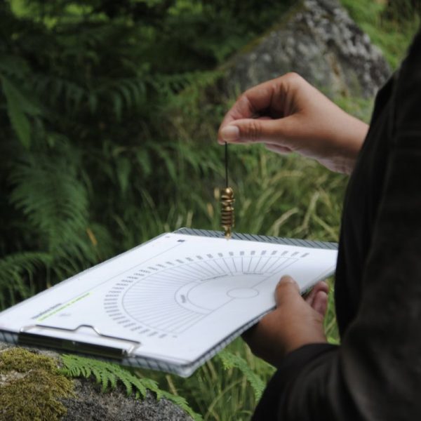 Formation bioénergie à l'Institut Pierre Thirault en Bretagne