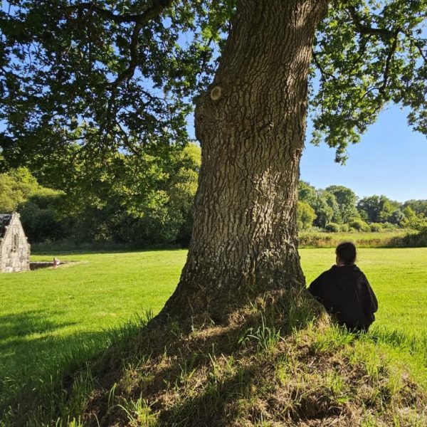 Une personne assise au pied d’un grand chêne dans un cadre bucolique, entourée d’une pelouse verdoyante et de paysages naturels. À gauche, une petite bâtisse en pierre ajoute une touche de charme rustique. La scène évoque un moment d’introspection et de connexion avec la nature, en parfaite harmonie avec les thématiques de développement personnel et de sagesse ancestrale proposées par l’Institut Pierre Thirault