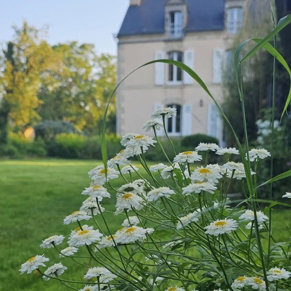 Photo d’un bâtiment en pierre avec des volets blancs, abritant l’Institut Pierre Thirault en Bretagne. L’avant-plan est orné de délicates fleurs blanches aux cœurs jaunes, entourées de verdure. En arrière-plan, un vaste jardin verdoyant et des arbres baignant dans une douce lumière naturelle, créent une ambiance paisible et accueillante, reflétant l’esprit de sérénité et de bien-être de l’institut